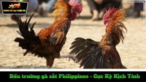 dau-truong-ga-sat-philippines-cuc-ky-kich-tinh