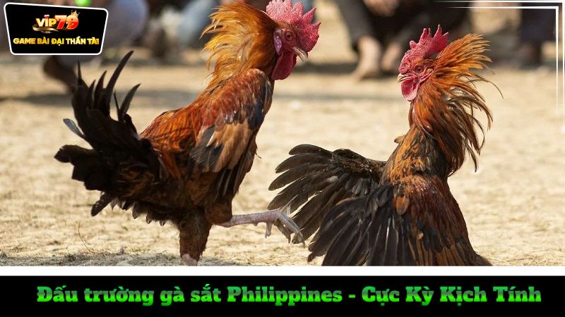 dau-truong-ga-sat-philippines-cuc-ky-kich-tinh