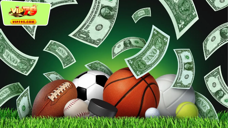Những lợi ích khi chơi cá cược ở tại Thể Thao Vip79
